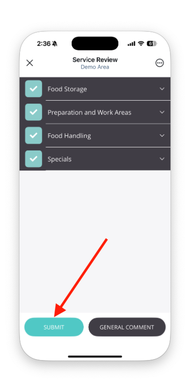 Submit audit screen
