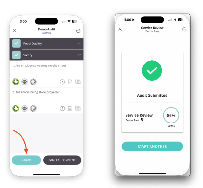 ✅ Completing an Audit on Mobile