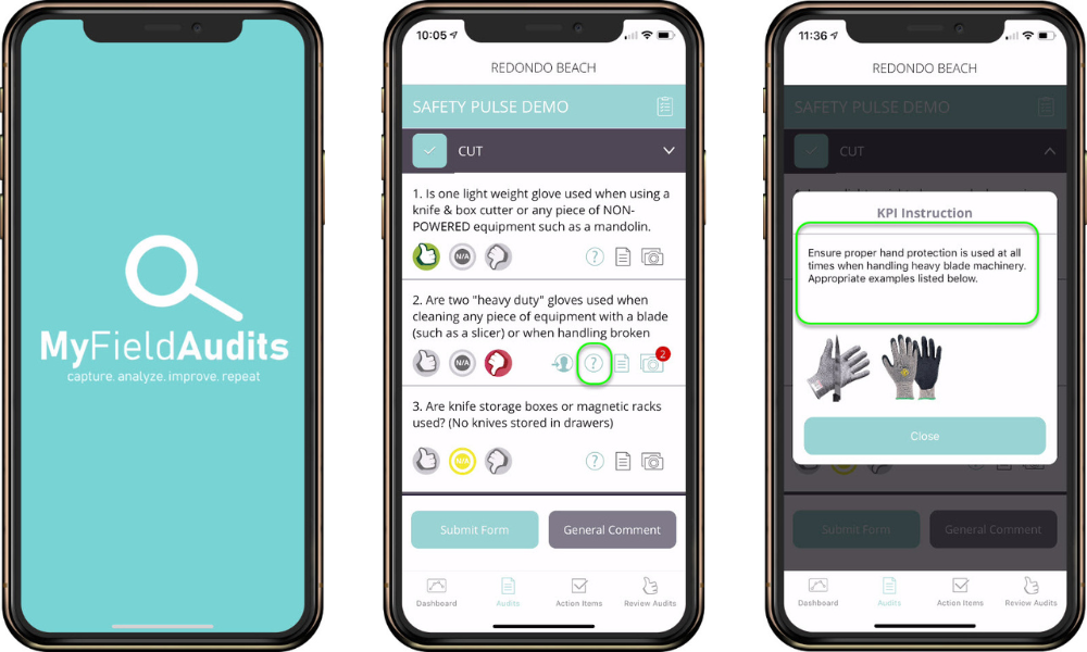 🌐 What is MyFieldAudits?