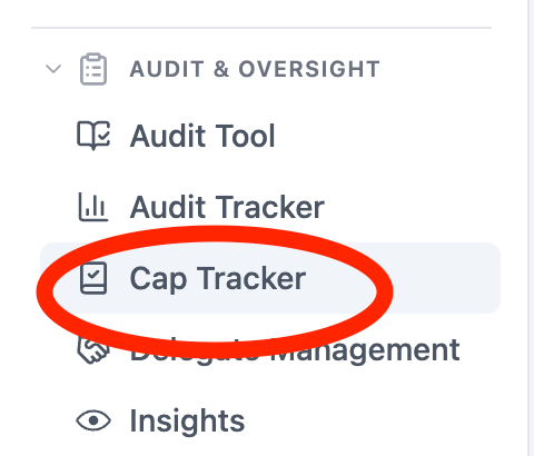 CAP Tracker l For Auditors
